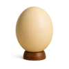 Œuf d'Autruche Vide Décoratif avec Support